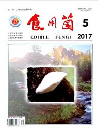 食用菌雜志2018年05期投稿論文目錄查詢職稱論文發(fā)表，期刊指導(dǎo)