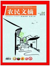 農(nóng)民文摘雜志是什么類型期刊