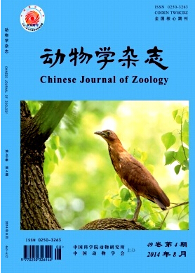 動(dòng)物學(xué)雜志核心刊物征稿職稱(chēng)論文發(fā)表，期刊指導(dǎo)