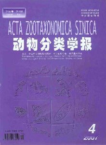 動物分類學報論文發(fā)表需要多少版面費職稱論文發(fā)表，期刊指導