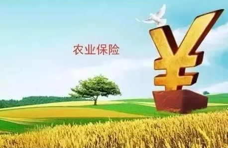 政策性農(nóng)業(yè)保險市場供求非均衡的測度及分析