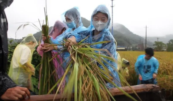 新時代高職院校勞動教育實踐體系構(gòu)建