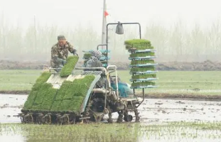 北方寒地水稻種植機(jī)械化技術(shù)集成與推廣研究