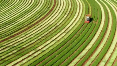 農(nóng)村土地流轉(zhuǎn)對(duì)我國糧食生產(chǎn)率提升影響探究