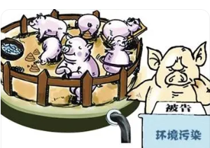 畜禽規(guī)模養(yǎng)殖污染治理與環(huán)境保護(hù)探究