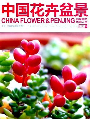 中國(guó)花卉盆景職稱論文發(fā)表，期刊指導(dǎo)