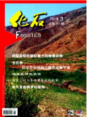 化石論文投稿目錄職稱論文發(fā)表，期刊指導(dǎo)