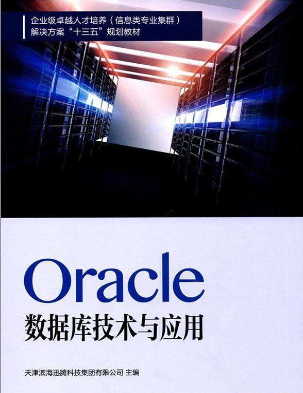 Oracle數(shù)據(jù)庫(kù)應(yīng)用系統(tǒng)后臺(tái)數(shù)據(jù)信息整理 及技術(shù)分析