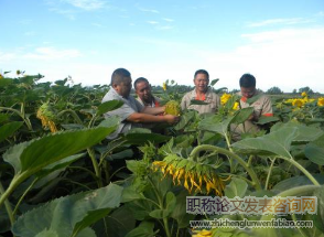 黑龍江省發(fā)展現代農業(yè)政策執(zhí)行中的問題及對策研究