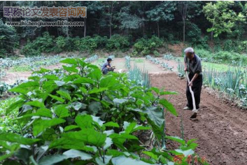 綠色農(nóng)業(yè)種植技術(shù)推廣存在問題及策略初探