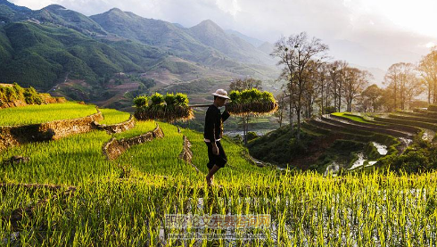 生態(tài)循環(huán)農(nóng)業(yè)的實(shí)踐與探索