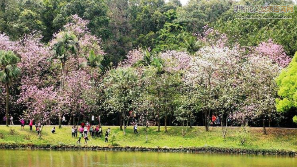 氣候變暖對西北雨養(yǎng)農業(yè)及農業(yè)生態(tài)影響研究進展