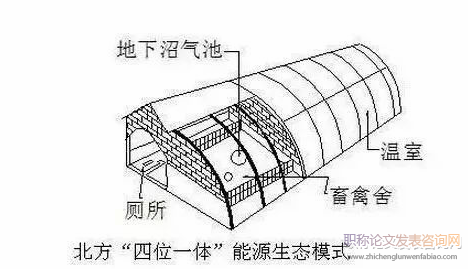 豬沼糧生態(tài)循環(huán)農(nóng)業(yè)模式在上海農(nóng)場(chǎng)的實(shí)踐應(yīng)用