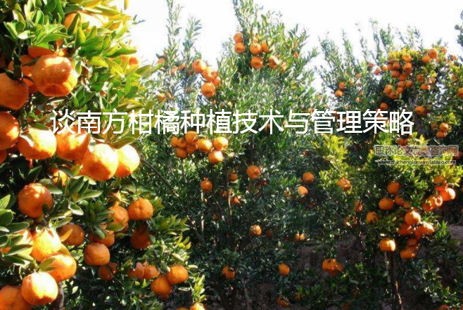 談南方柑橘種植技術(shù)與管理策略