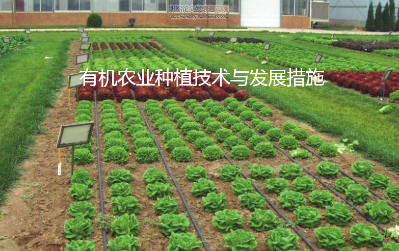 有機農(nóng)業(yè)種植技術(shù)與發(fā)展措施