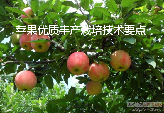 蘋果優(yōu)質(zhì)豐產(chǎn)栽培技術要點