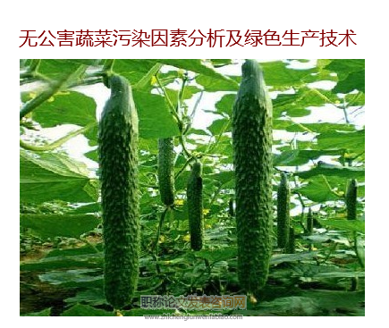 無公害蔬菜污染因素分析及綠色生產(chǎn)技術(shù)