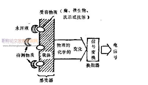 生物傳感器方面的論文發(fā)表指導(dǎo)