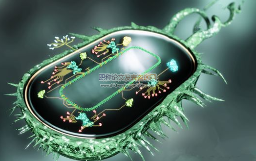 淺析高中生物課堂教學(xué)中的設(shè)疑啟思