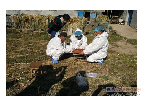 青海基層動物防疫檢疫的難點及對策