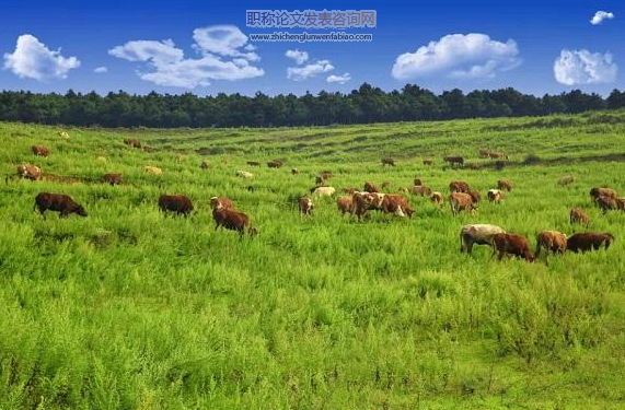 海南農(nóng)牧林漁業(yè)產(chǎn)值影響因素分析