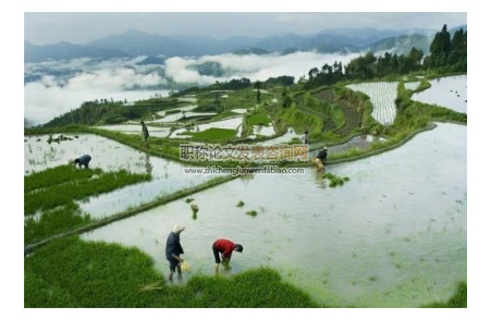 淺議荒坡地治理與發(fā)展高效生態(tài)農(nóng)業(yè)