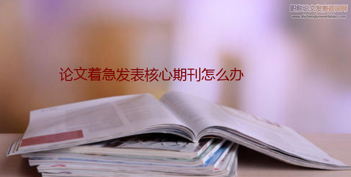 論文著急發(fā)表核心期刊怎么辦