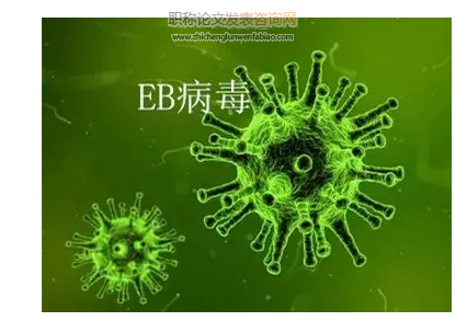 兒童EB病毒感染不同臨床疾病類型免疫功能研究