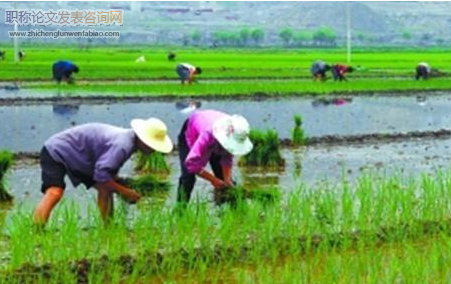 農(nóng)村勞動力轉(zhuǎn)移能當做課題研究嗎