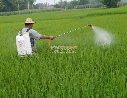 農(nóng)藥施用技術(shù)培訓(xùn)減少農(nóng)藥過量施用了嗎？