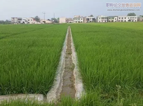 不同種植方式對綠洲農(nóng)田土壤酶活性與微生物多樣性的影響