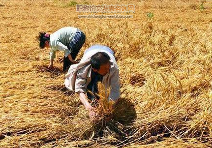 勞動(dòng)稟賦變化、技術(shù)選擇與糧食種植結(jié)構(gòu)調(diào)整