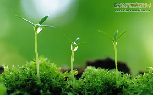 氣候變化下我國主要糧食作物種植環(huán)境適應(yīng)性分析