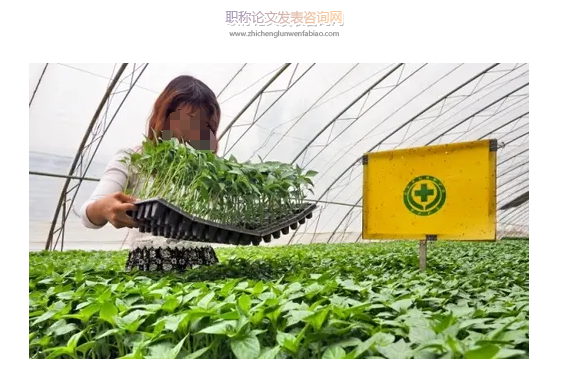 農(nóng)技土肥管理技術(shù)在綠色蔬菜種植中的實施研究