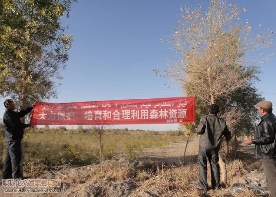 國內(nèi)林業(yè)資源保護(hù)管理措施建議