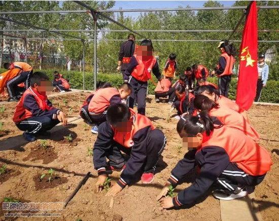 基于小學(xué)勞動教育與綜合實(shí)踐課程相整合的思考與實(shí)踐