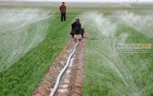 新時(shí)期農(nóng)業(yè)種植高效節(jié)水灌溉技術(shù)選擇研究