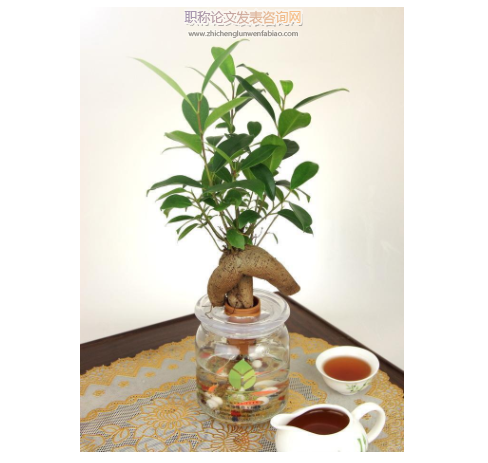 人參水培種植技術(shù)要點及其應(yīng)用優(yōu)勢分析