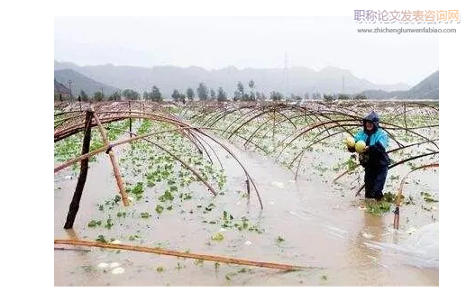 氣象災(zāi)害對(duì)農(nóng)業(yè)生產(chǎn)造成的影響及防御對(duì)策