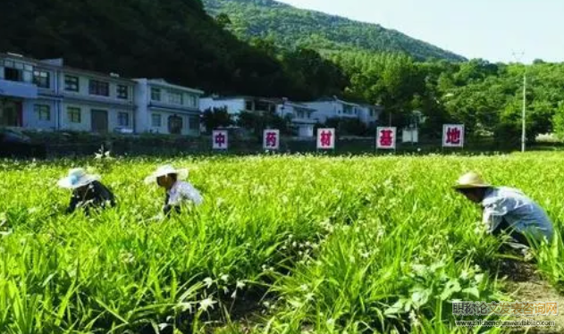 農(nóng)業(yè)供給側(cè)改革背景下山東省中草藥產(chǎn)業(yè)現(xiàn)狀及發(fā)展對(duì)策