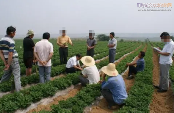 基層農(nóng)業(yè)技術推廣存在的問題與優(yōu)化措施