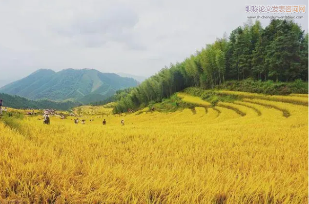 淺析山西省農(nóng)業(yè)綜合開發(fā)存在的問題和建議